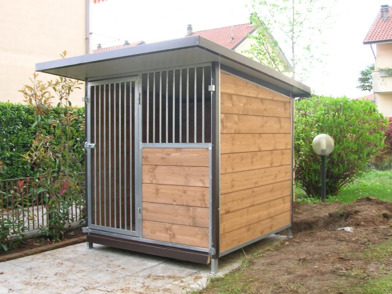 Box per cani singolo modello standard